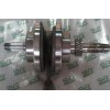 AP125X(CRANKSHAFT)