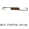 main standing spring